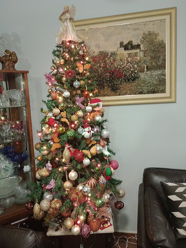 Árvore de Natal na casa da minha tia - Christmas tree at my aunt's house - Árbol de Navidad en casa de mi tía -  Sapin de Noël chez ma tante