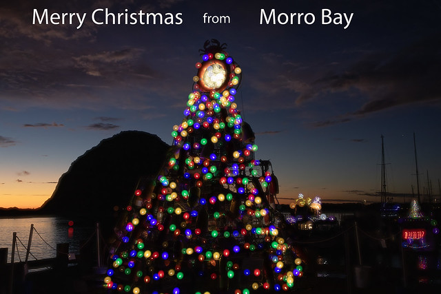 Lights of the Season--Holiday Cheer to You and Yours from Morro Bay