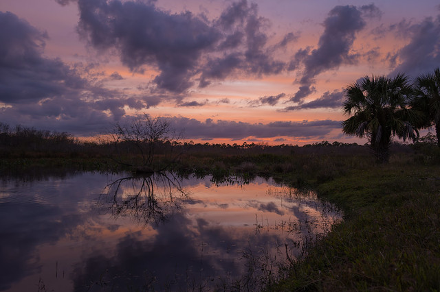 Sunset and reflection over pond in Babcock Wildlife Management Area near Punta Gorda, Florida