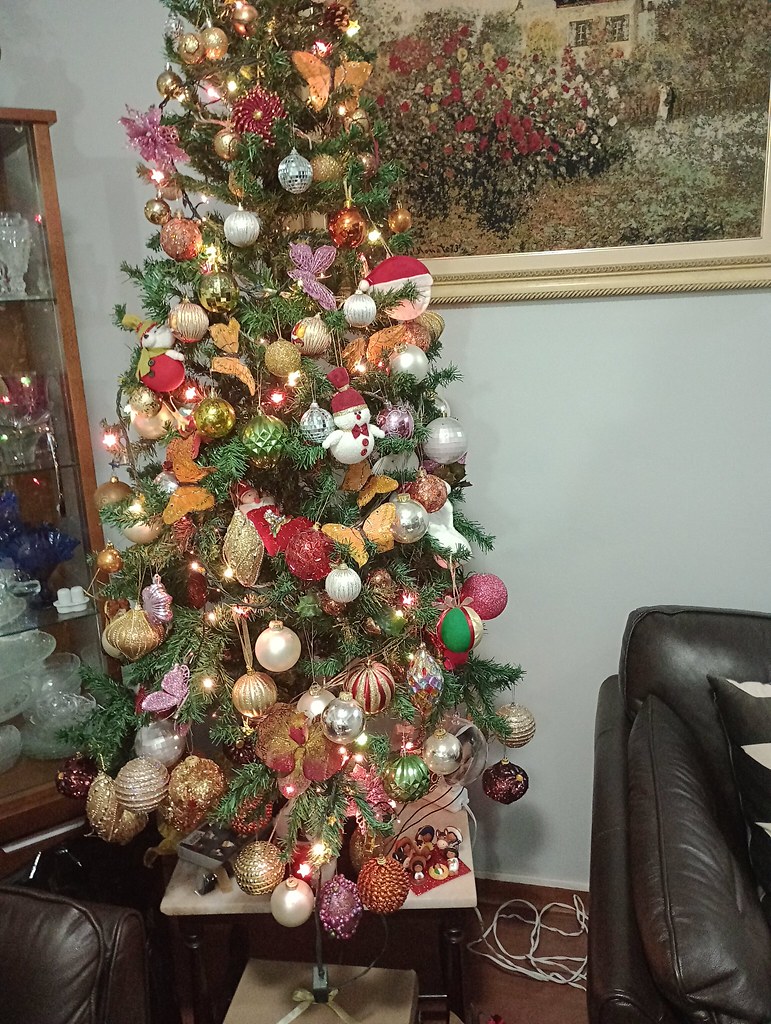Árvore de Natal na casa da minha tia - Christmas tree at my aunt's house - Árbol de Navidad en casa de mi tía -  Sapin de Noël chez ma tante