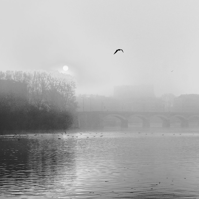 Toulouse, The Garonne River With Fog