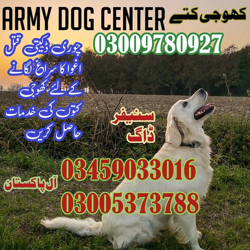 Army Dog Center Jhelum 03005373788