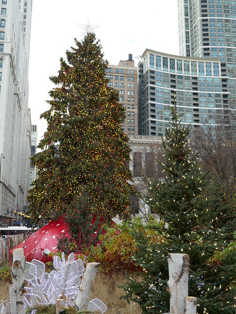 Chicago, Millennium Park, Holiday Scenes, Christmas Trees
