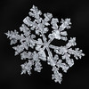 Snowflake 952 - Merry Christmas!