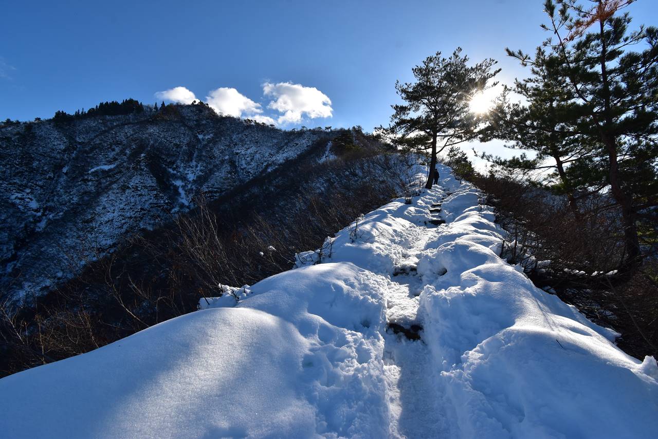 【新潟】坂戸山 駅から登れる眺め最高の雪山登山