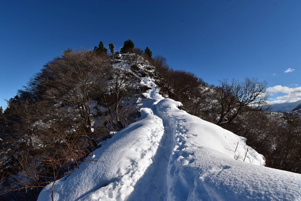 【新潟】冬の坂戸山 駅から登れる眺め最高の雪山登山