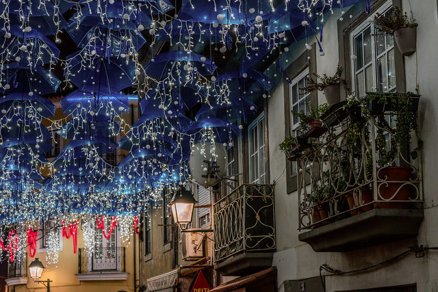 Christmas lights — Luzes de Natal