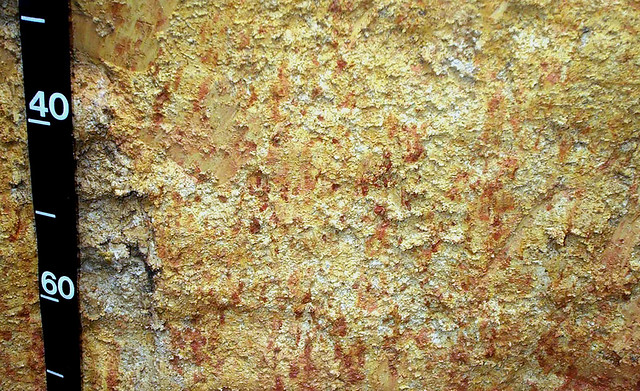 Typic v. Plinthic Paleaquult (130 to 170 cm depth)