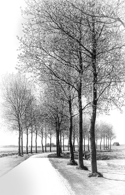 the curved avenue