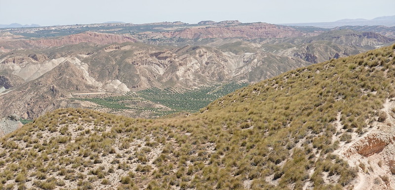 Desierto de Gorafe (Granada):un sorprendente paisaje gris, ocre y colorao. - Recorriendo Andalucía. (44)