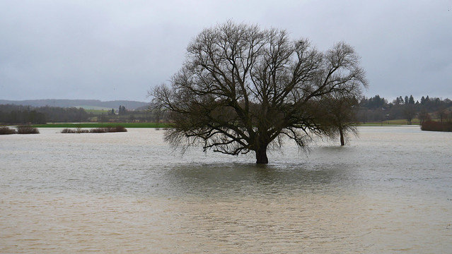Flooding in the water meadows