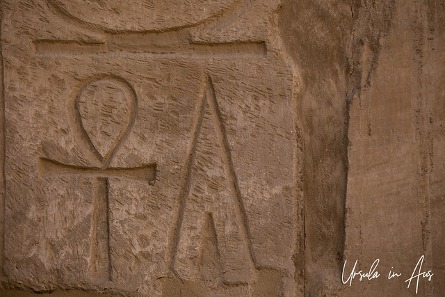 Hieroglyph Detail 7875