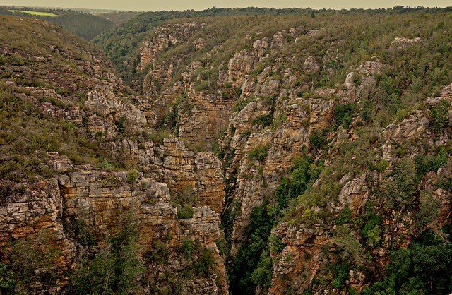 SÜDAFRIKA( South-Africa),  Storms River Gorge auf der Gardenroute Richtung Tsitsikamma-Nationalpark, 22446