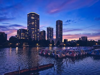 Sunset and Skyscrapers at Shinobazu Pond
