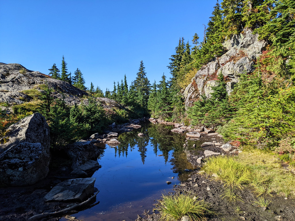 Mount Seymour trail, North Shore, BC, Canada