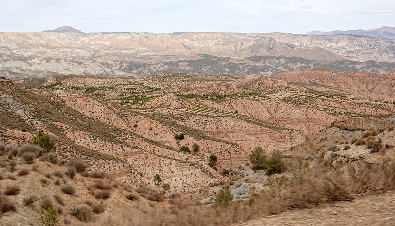 Desierto de Gorafe (Granada):un sorprendente paisaje gris, ocre y colorao. - Recorriendo Andalucía. (55)