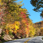 Fall color along the Blue Ridge Parkway 