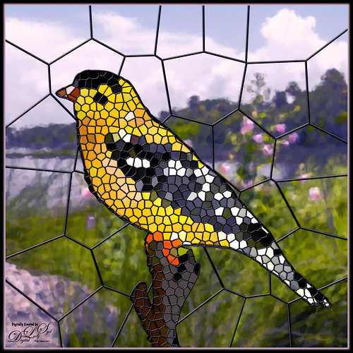 Image of a bird using a stained glass effect