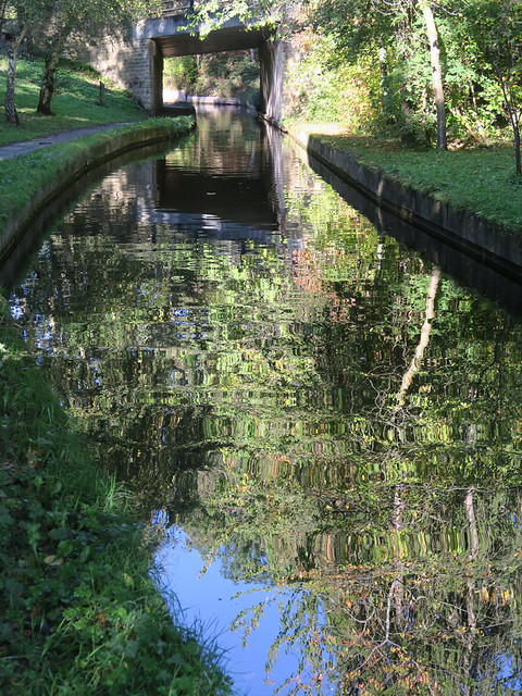 Canal reflections