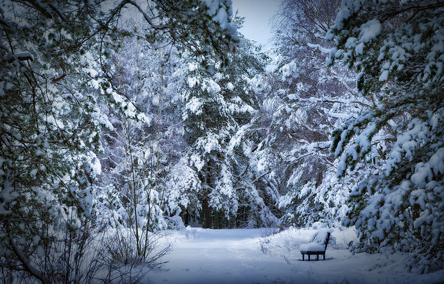 WINTER. Early frost....