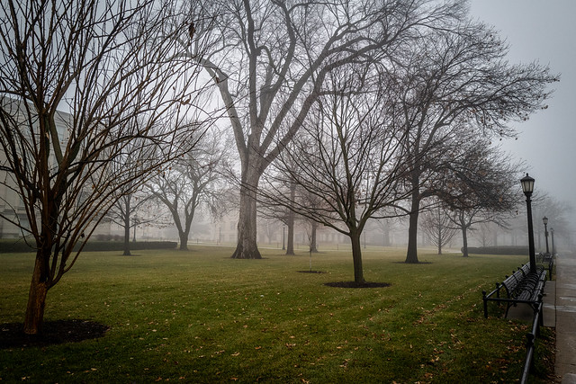A Foggy Morning in Iowa City