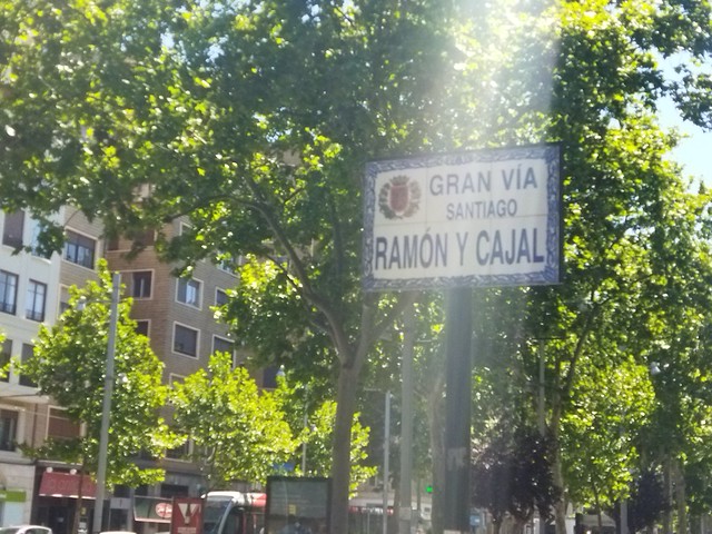 Sobredosis de Ramón y Cajal 1