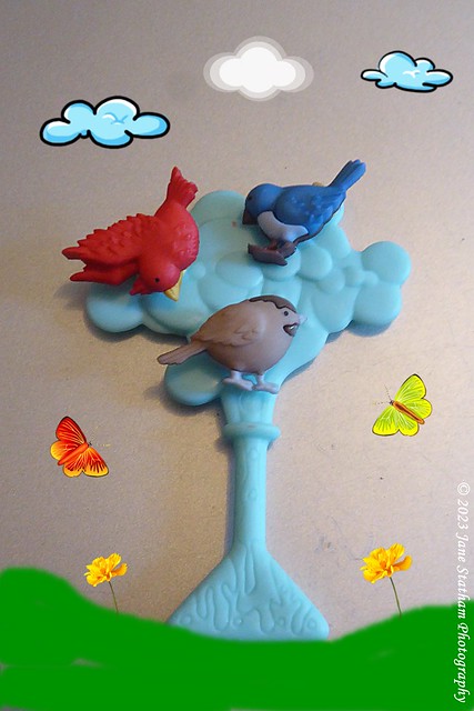 Birds in a blue tree.