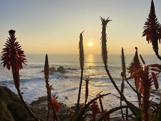 Sunset at Laguna beach