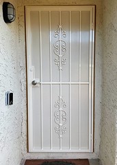 Security Screen Door