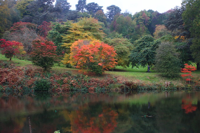 Autumn at Winkworth Arboretum