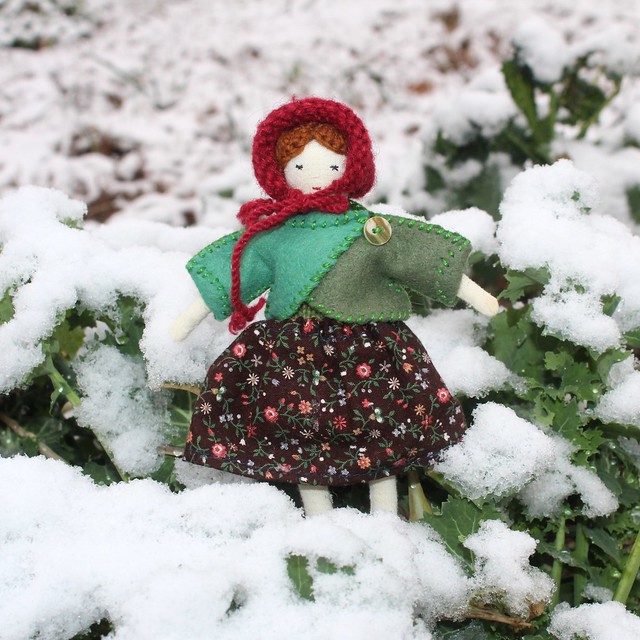 Dolly in the snowy kale