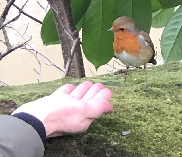A bird in the hand is worth two in the bush!