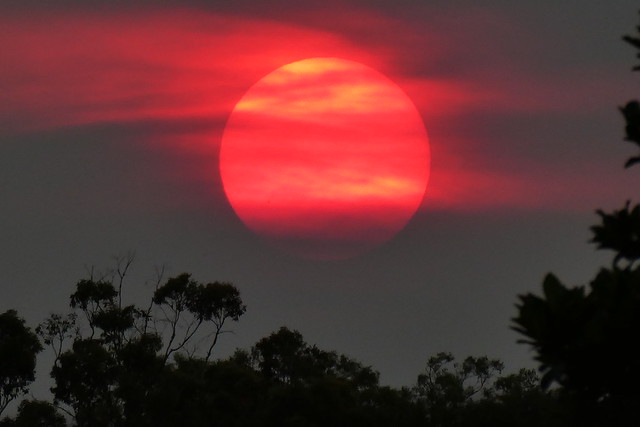 Sunset on 29 December 2023 (Brisbane Australia)