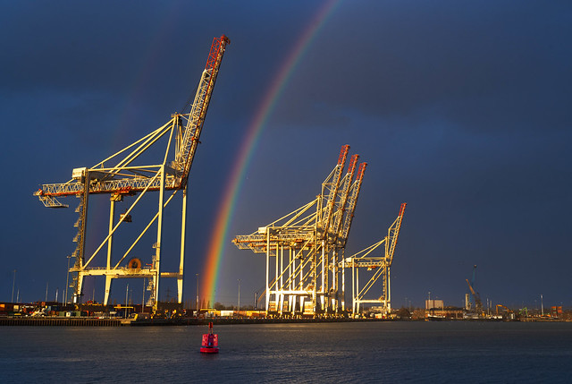 20231229 Rainbow between the Cranes, SCT, Southampton-2