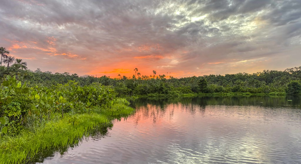 Amazonian Sunrise, Lake Pilchicocha, Ecuador-4091