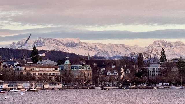 Zürich mit Glärnisch und Bös Fulen