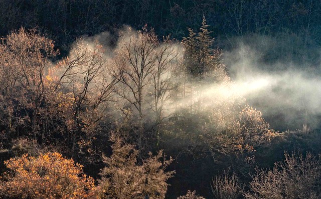 Brumes matinales (à Thoiras, village Cévenol Gardois) - Autumn mists in the Cevenol village of Thoiras