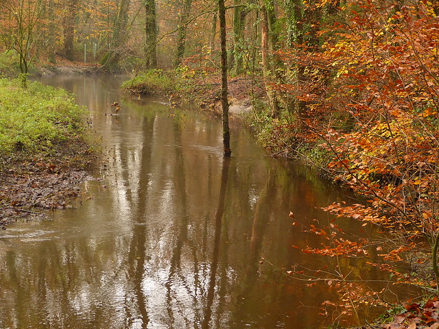 Stream Boven Slinge in nature area Bekendelle