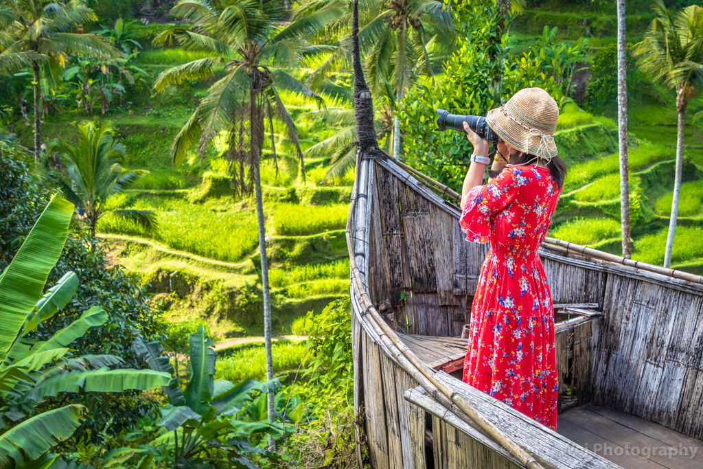Ceking Rice Terrace, Bali, Indonesia