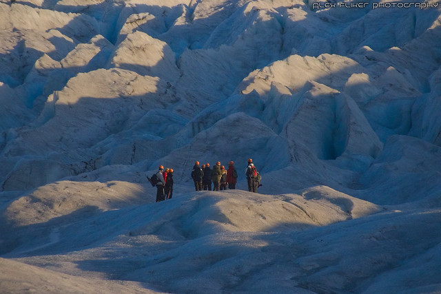 Svínafellsjökull Glacier [ 3 ]