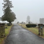 Misty Cemetery 