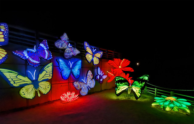 mariposas y plantas flora exposición Brilla Madrid Zoo 2023 en Parque Juan Carlos I Madrid 07