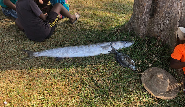 Impressive catch, Ile des pêcheurs, Manakara