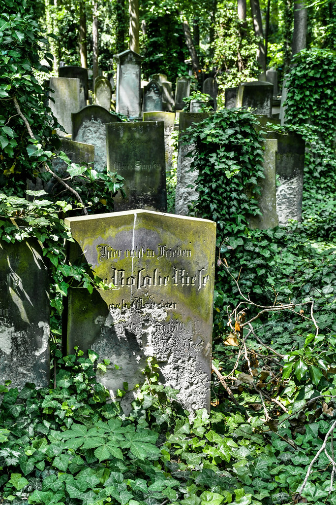 Judischer Friedhof Schönhauserallee