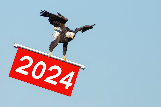 2024 Flying In Fast.
