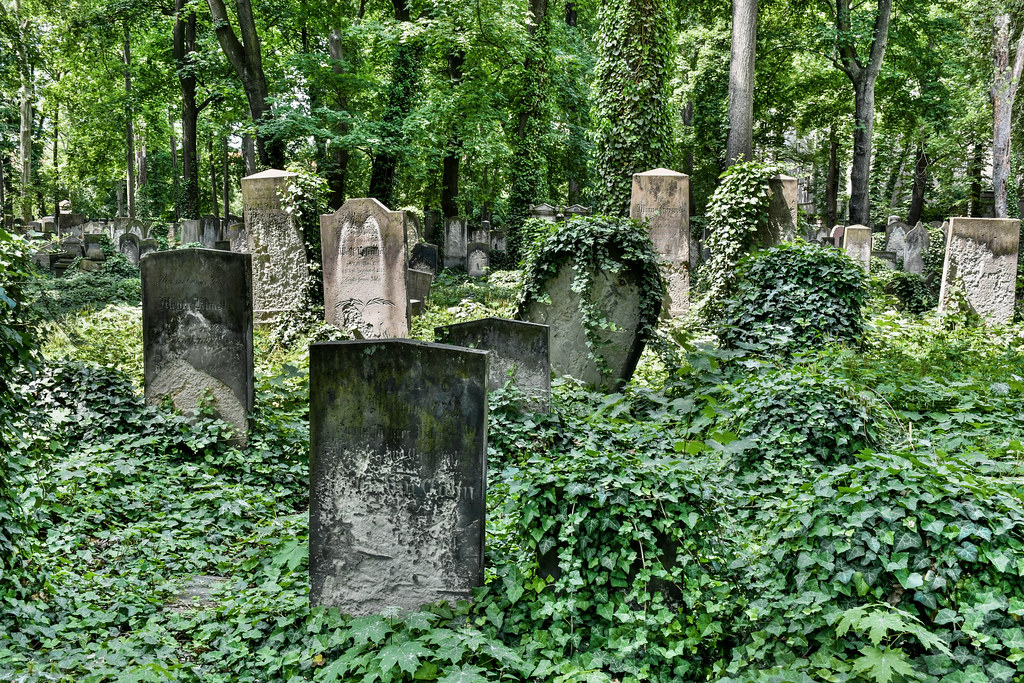 Judischer Friedhof Schönhauserallee