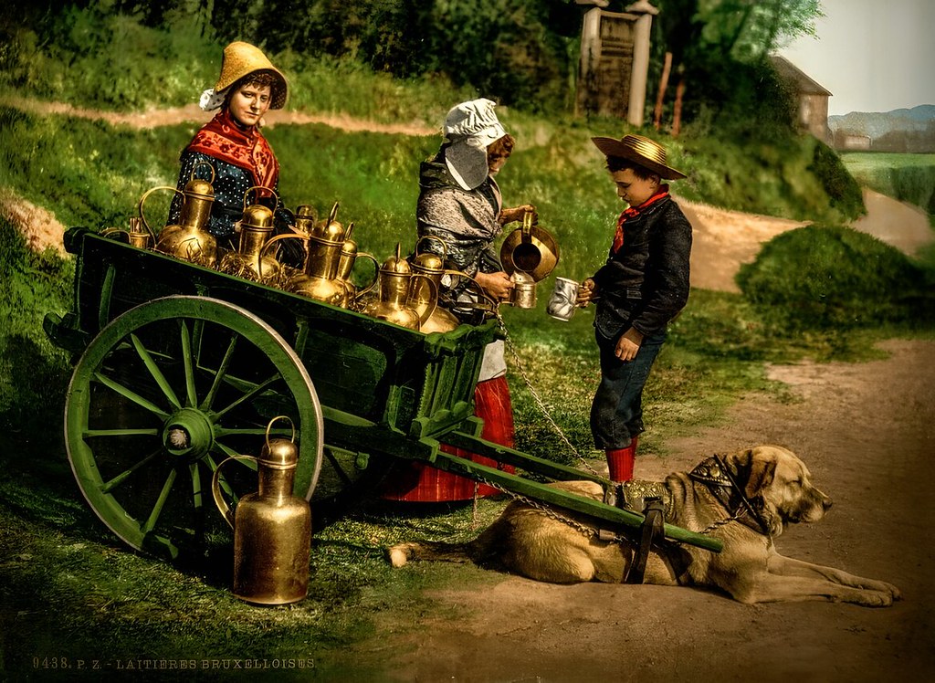 Belgian milk peddlers with a dogcart, c. 1890–1900