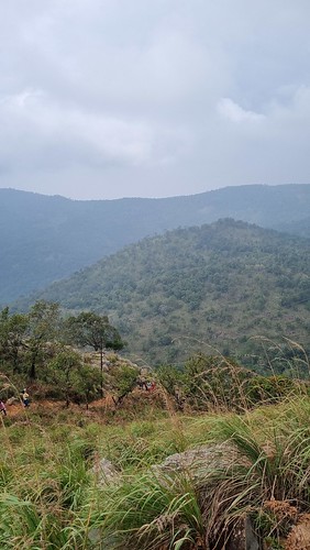 sirumalai dindigul tamilnadu hills hiking trail fog mist landscape easternghats