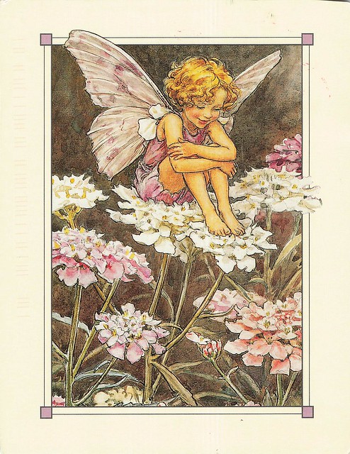 Flower Fairies - The Candytuft Fairy, Cicely Mary Barker