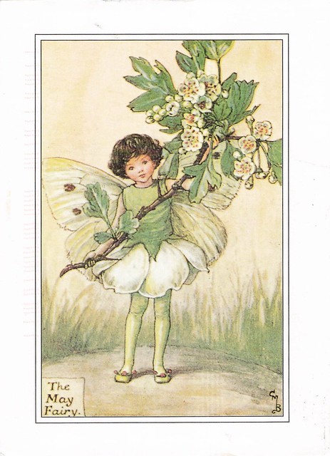 Flower Fairies - The May Fairy, Cicely Mary Barker